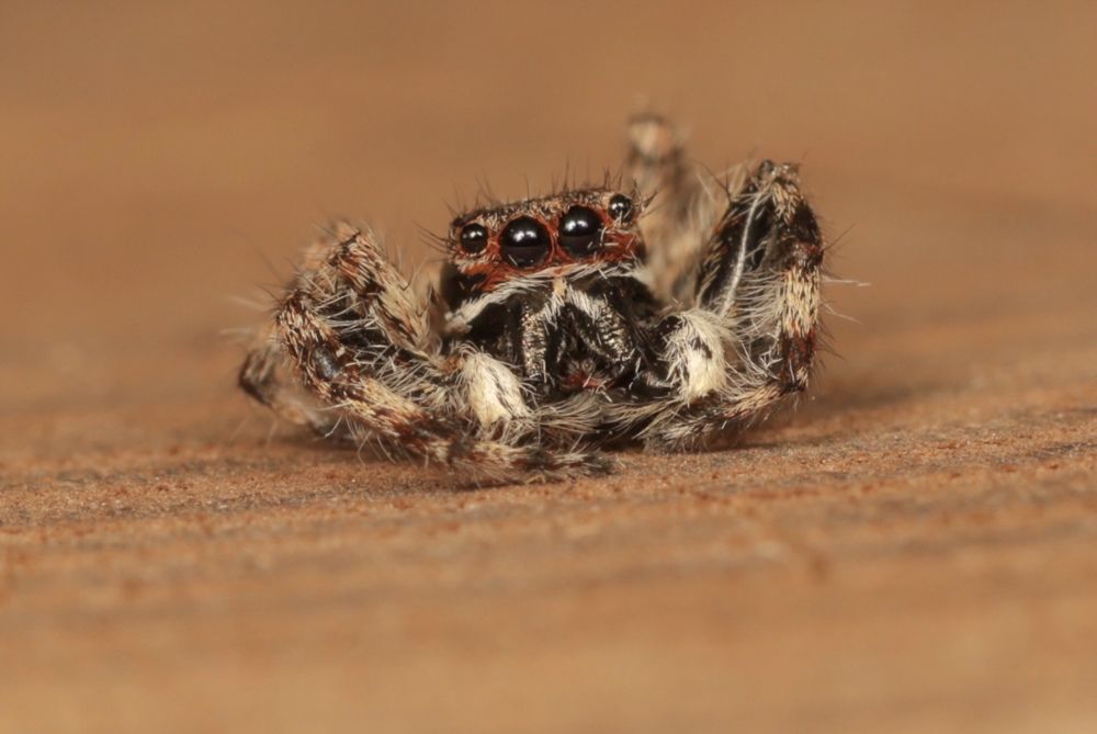 Photograph by Nilesh Tandel