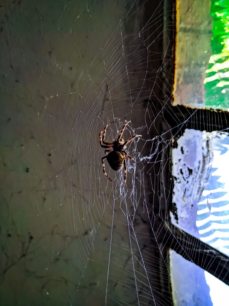 Photograph by Александр Федоренко