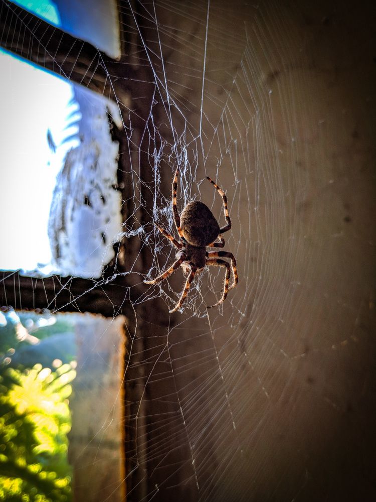 Photograph by Александр Федоренко