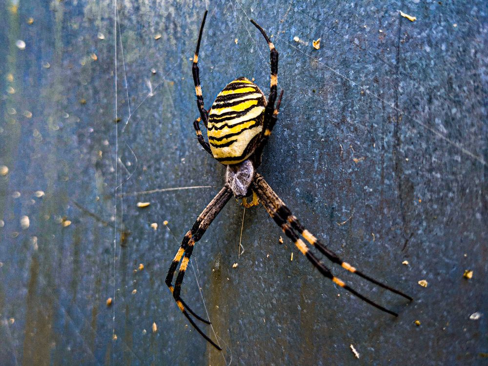 Photograph by Александр Федоренко