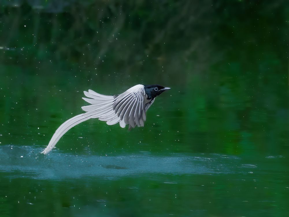 Фотография автора M Anandhu