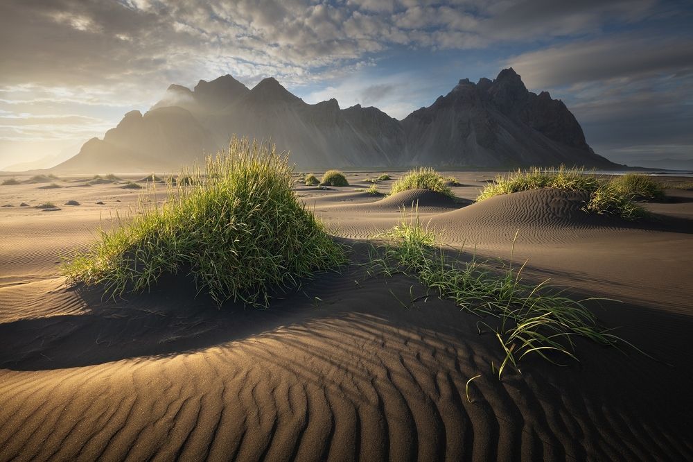 ON AN ICELANDIC BEACH...