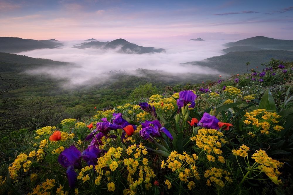 GARDEN OF BOHEMIA…