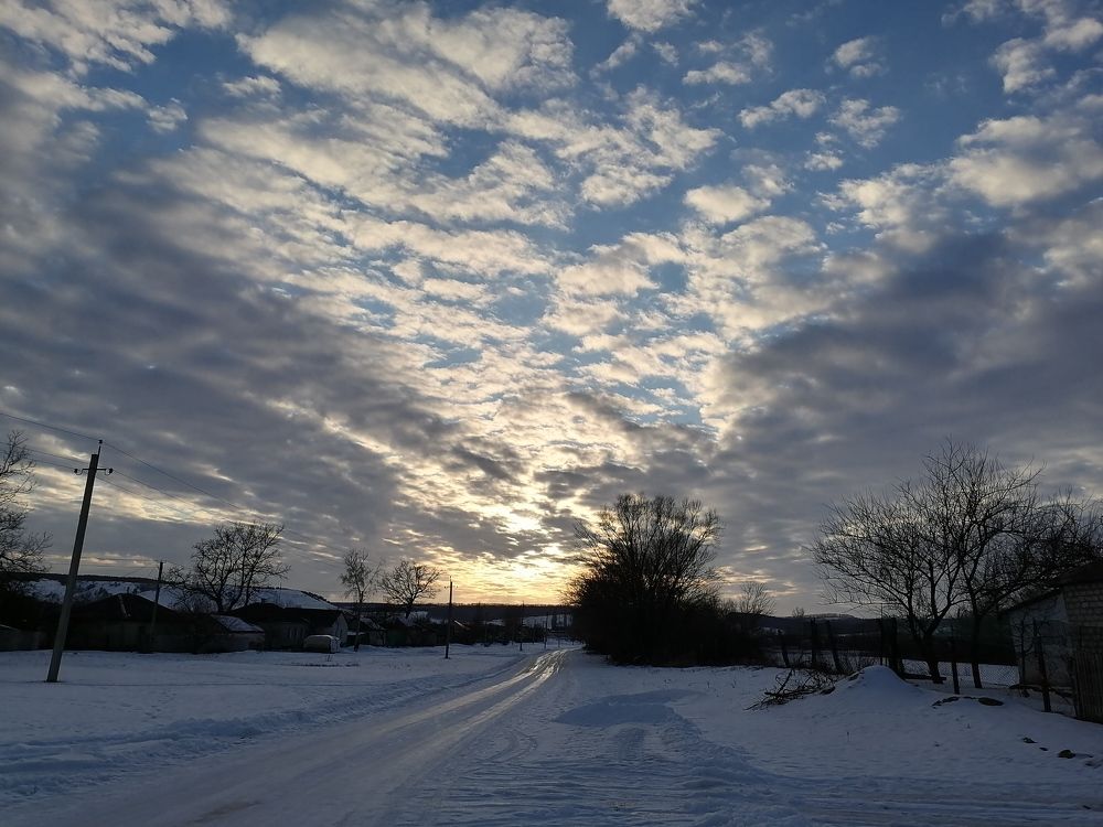 Photo #7211193