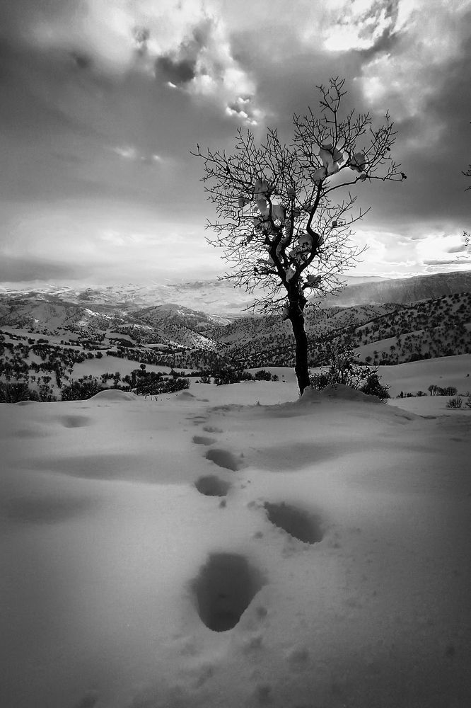 Photograph by Edris Khosravizadeh