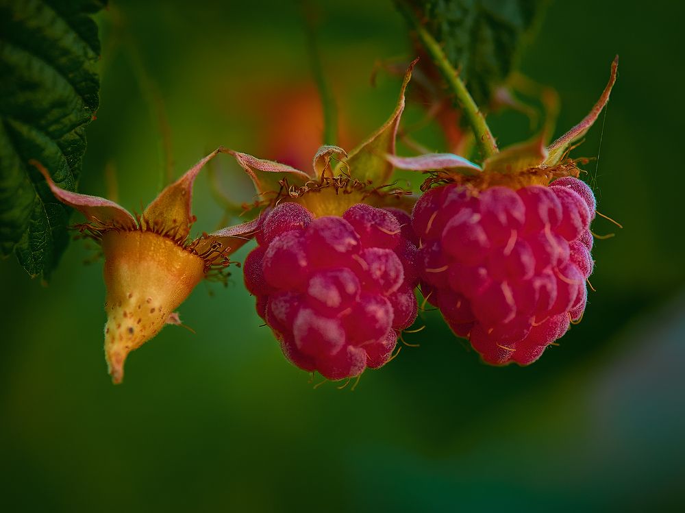 Photograph by Олег Бунеев