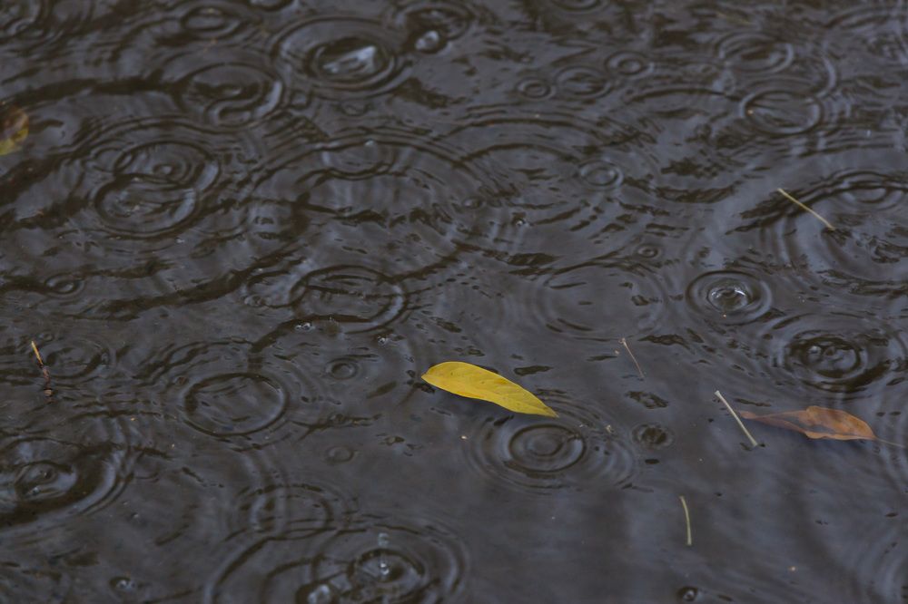 Photograph by Andrey Lagunov