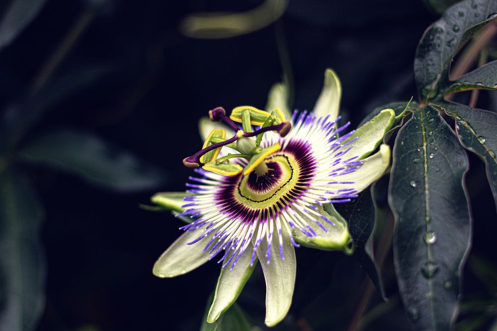 Фотография автора Виталий Са