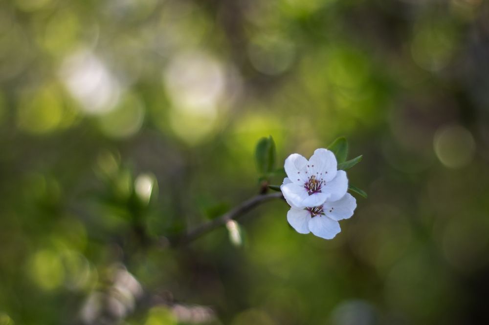 Photograph by Marcin Parzybut