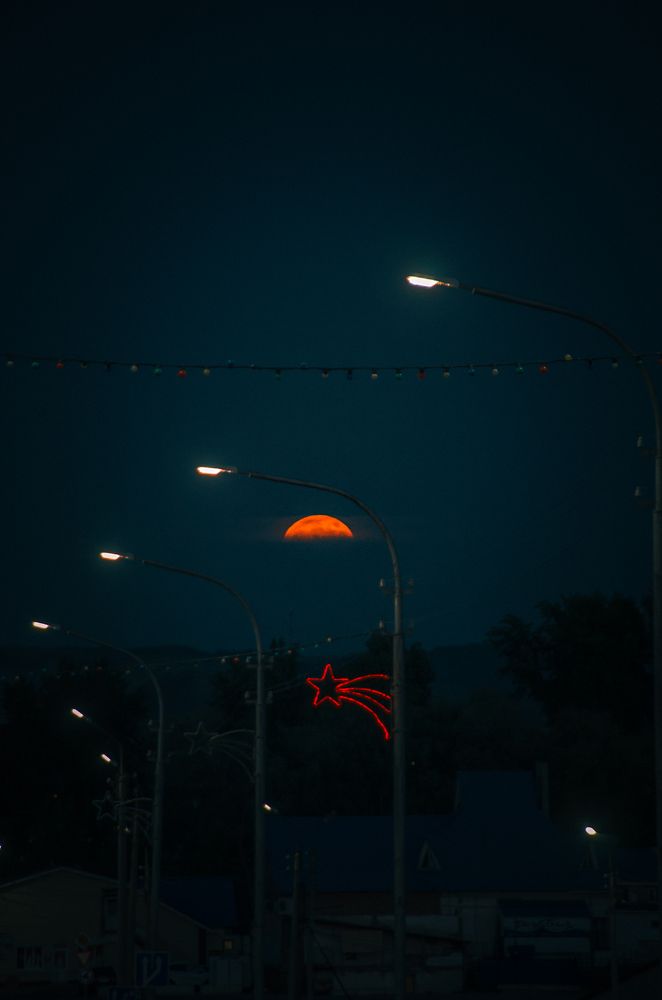 Photograph by Камиль