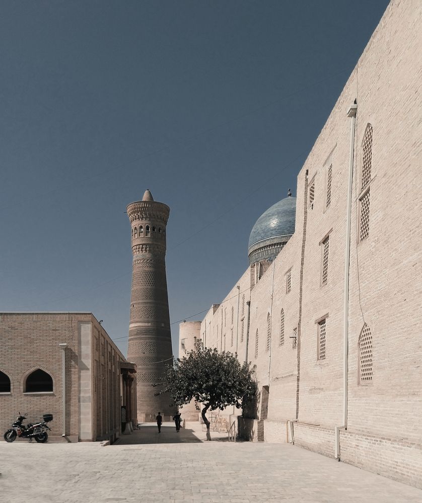 Photograph by Murojan Turdykulov