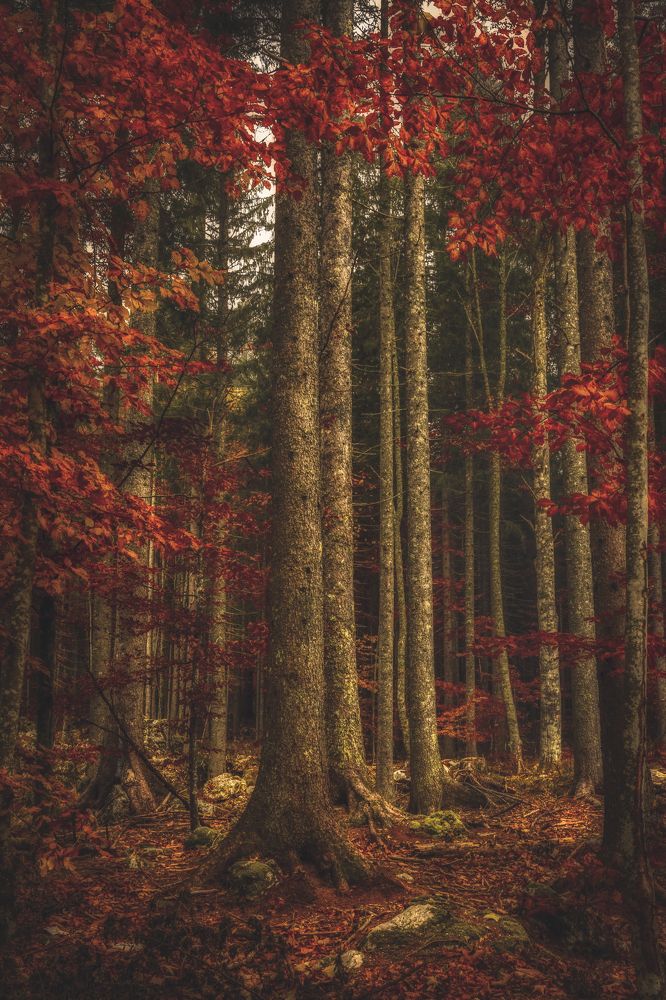 Photograph by Sara Jazbar