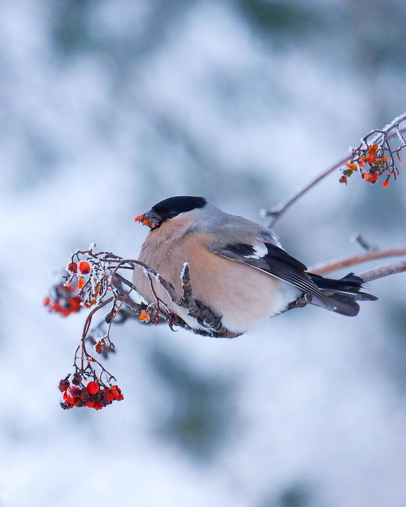 Photograph by Ксения Макарова