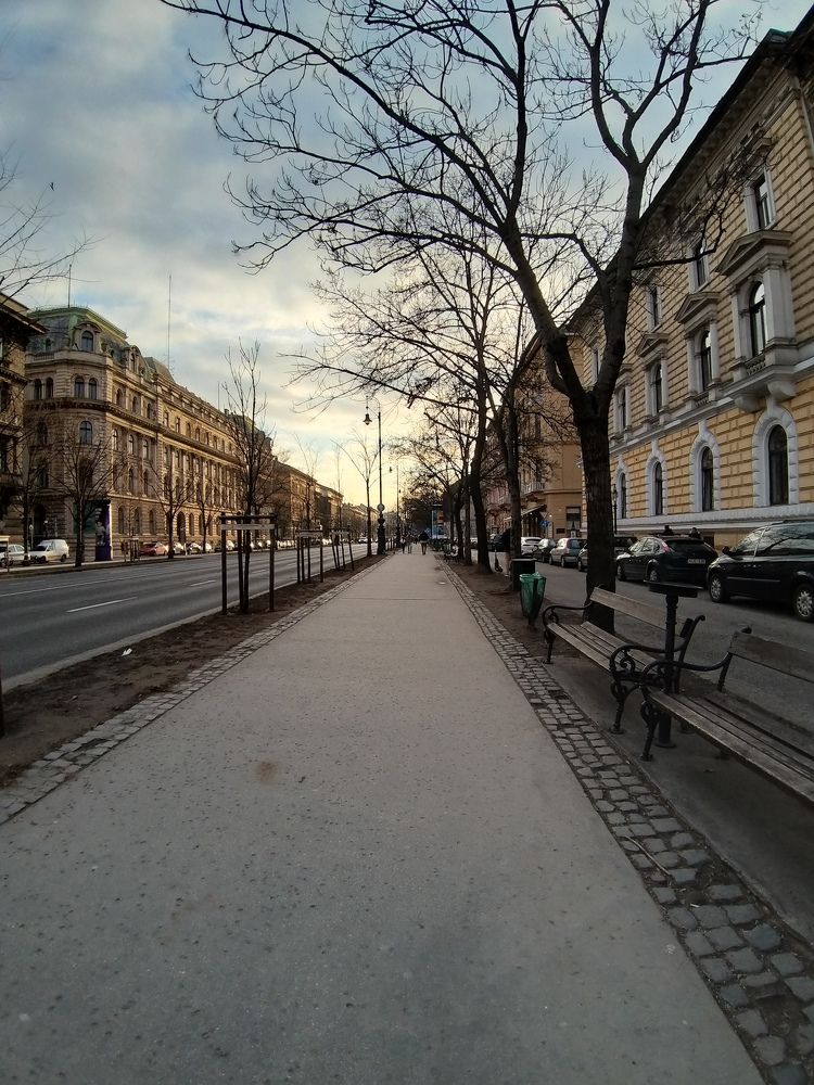 Photo #7211457