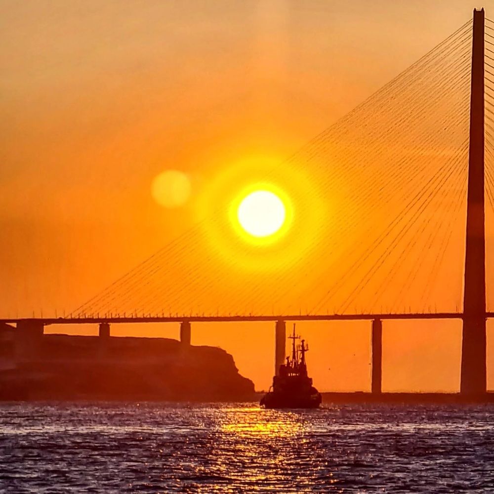 Корабли в моей гавани