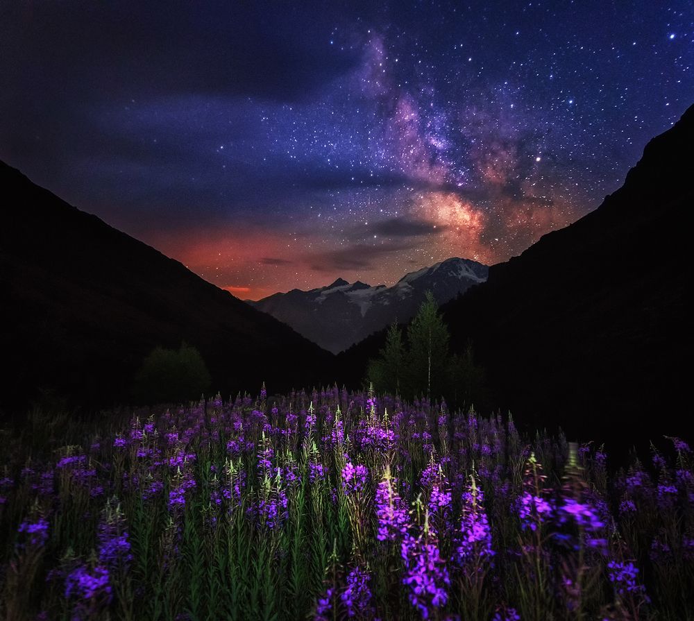 Photograph by Александр Хорошилов