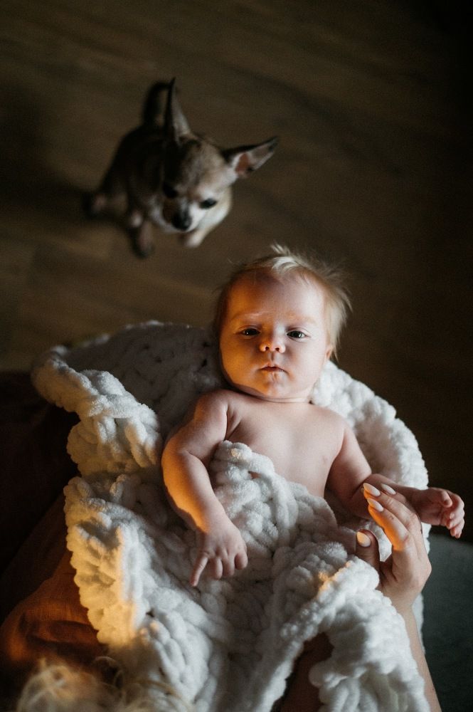 Photograph by Анна Алалыкина