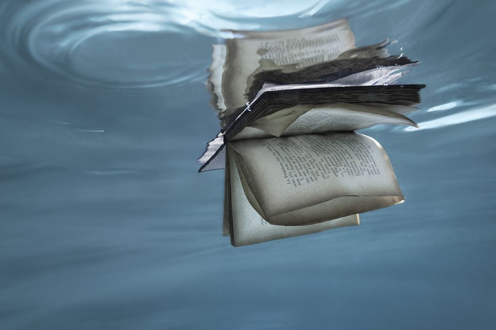 Photograph by Sonia Braun