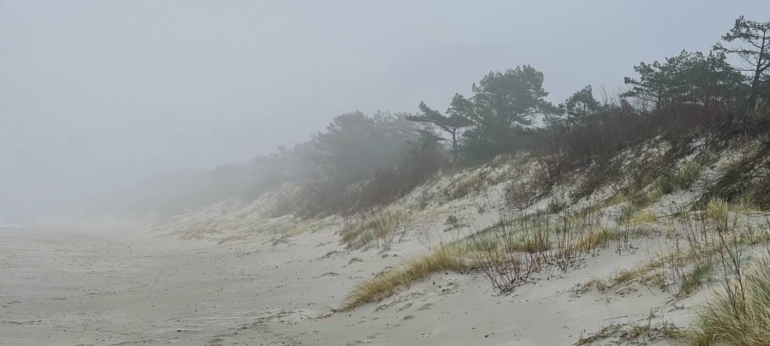 Photo #7211609