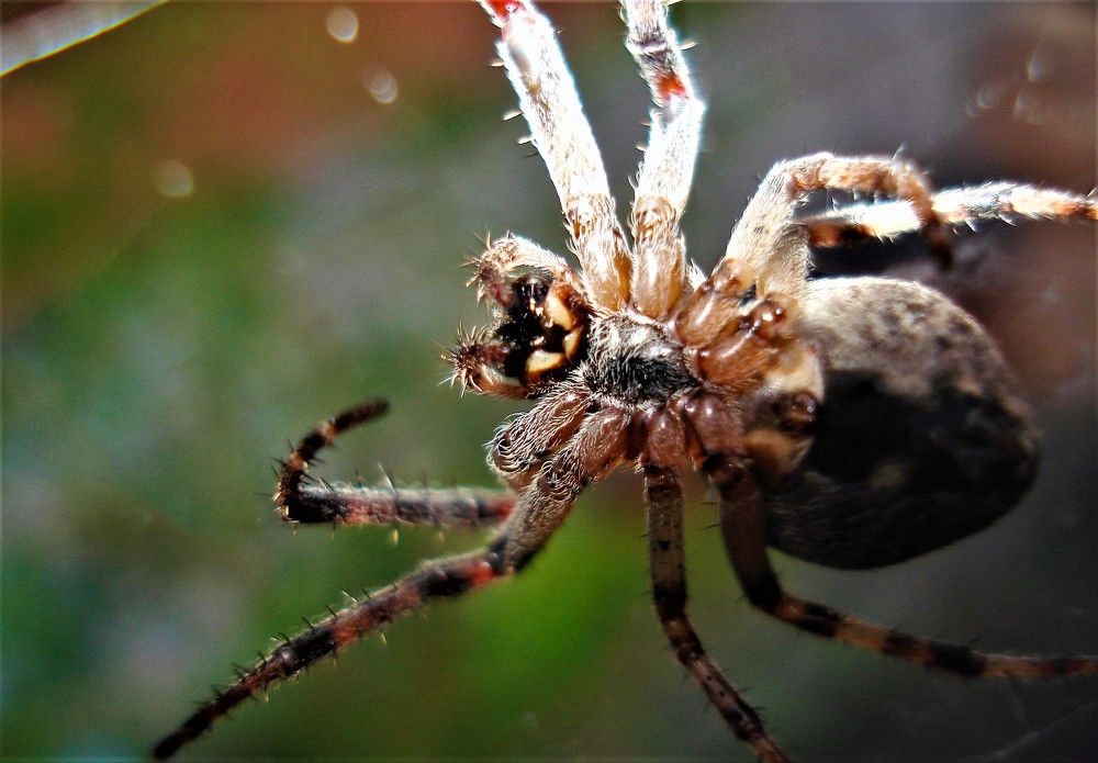 Photograph by Федоренко Элеонора