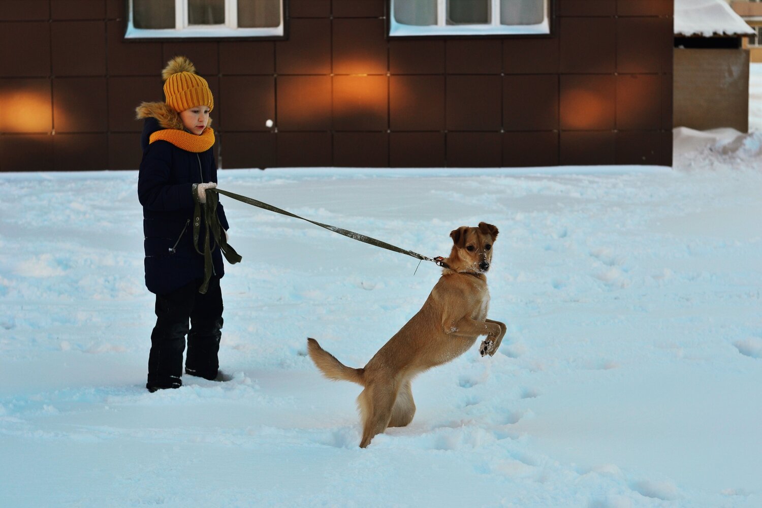 Photo #7211632