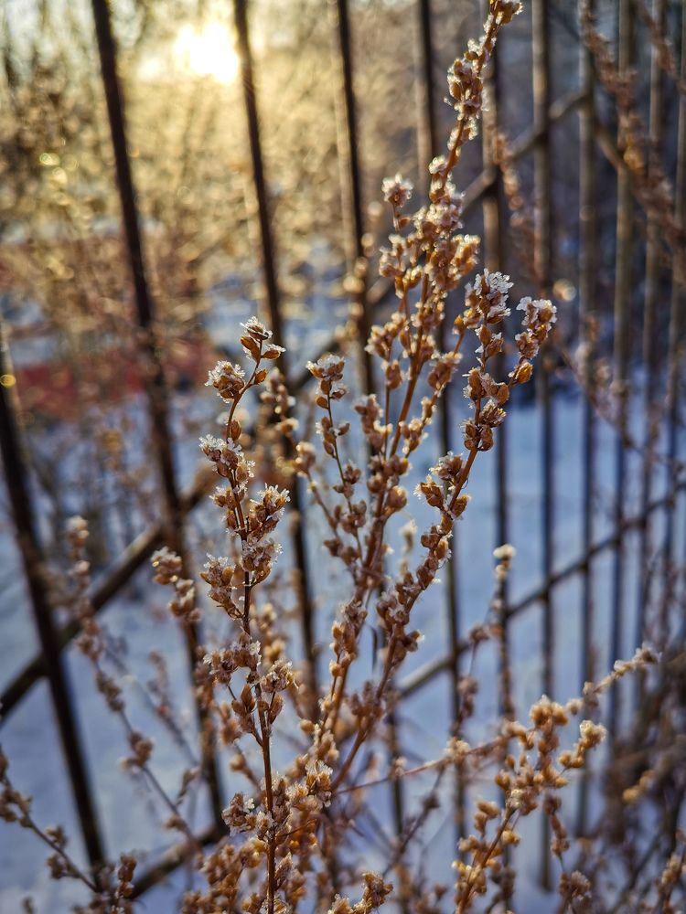 Photograph by Julia Dorofeeva