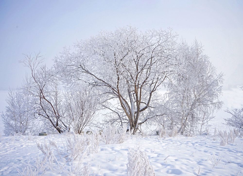 Photograph by Нина Будникова