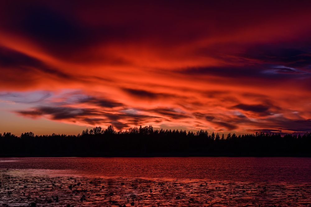 Догорающие краски