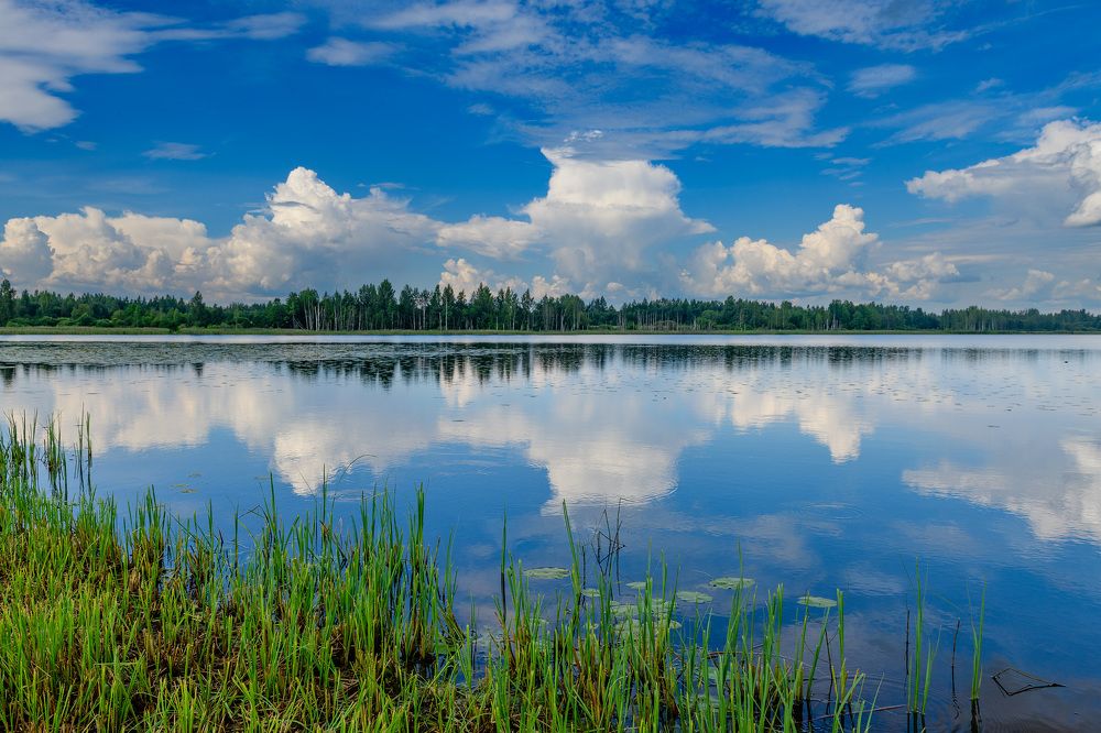 Погожий день на лесном озере