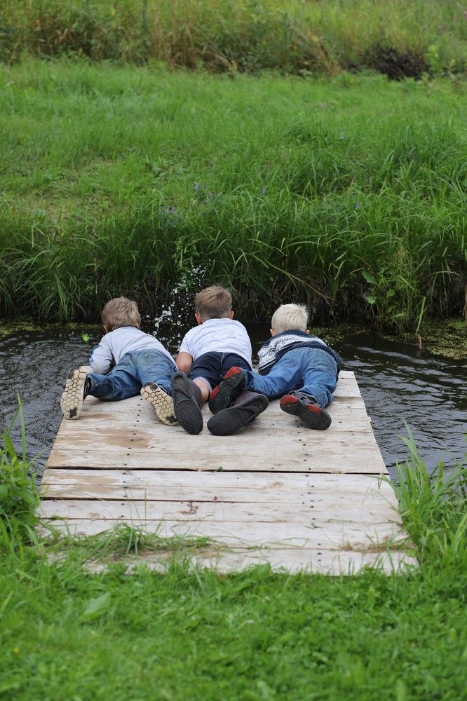 Photograph by Julia L