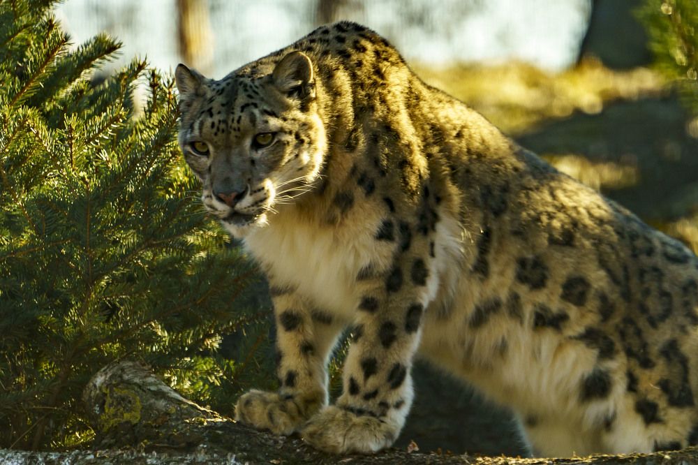 Photograph by Susanna Kari