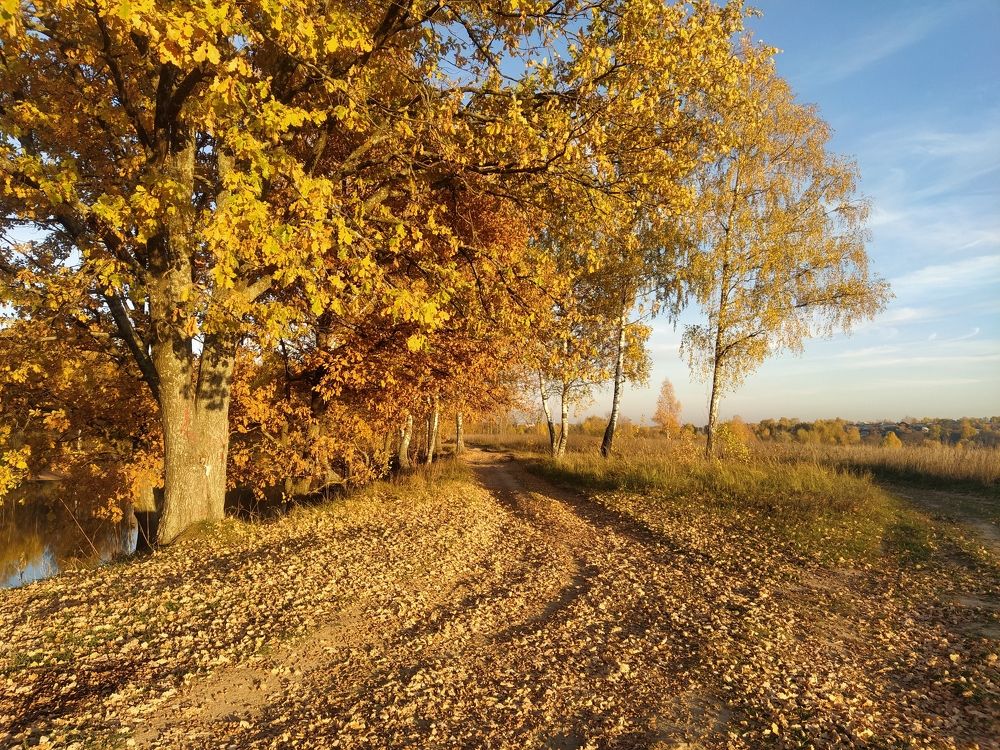 Photograph by Юрий