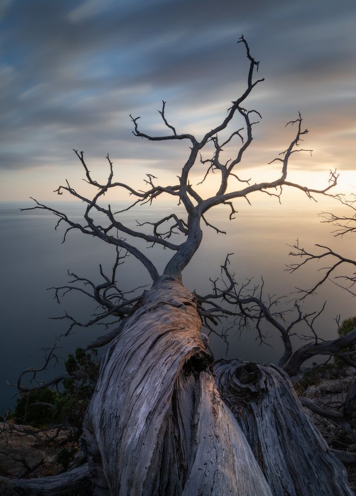 Photograph by Михаил Гапонов