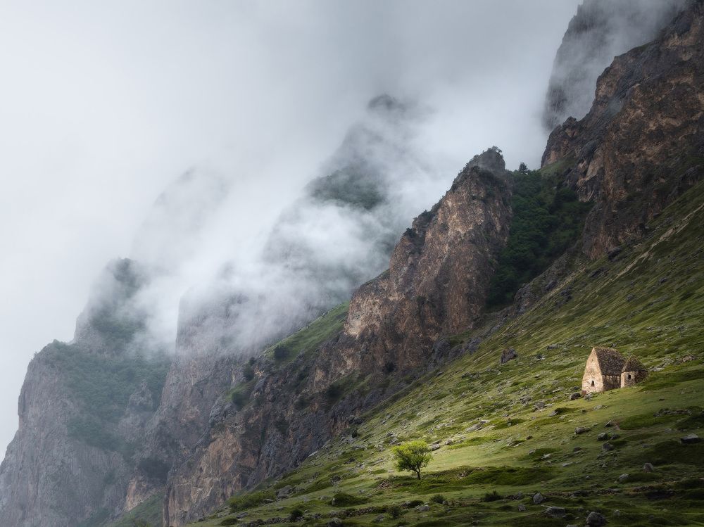 Photograph by Михаил Гапонов