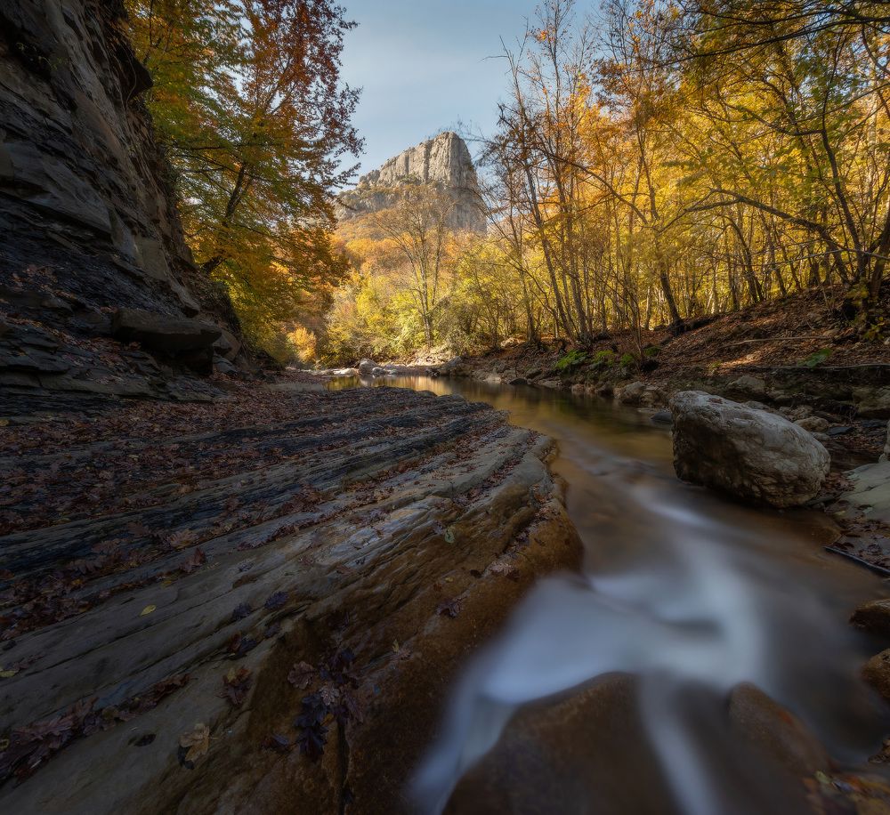 Photograph by Михаил Гапонов