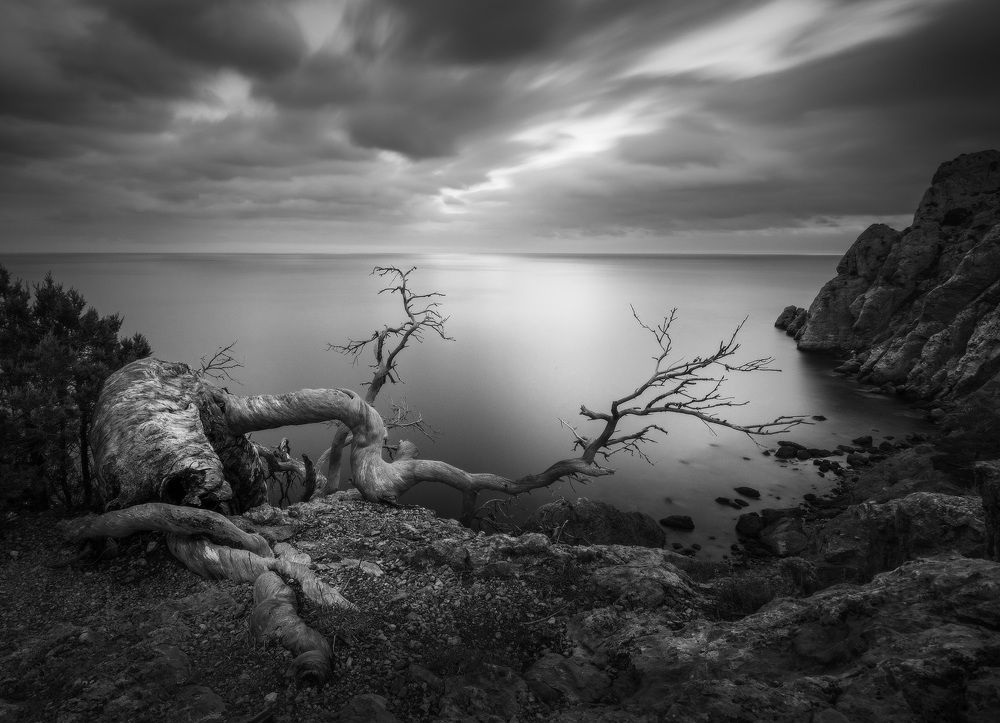 Photograph by Михаил Гапонов