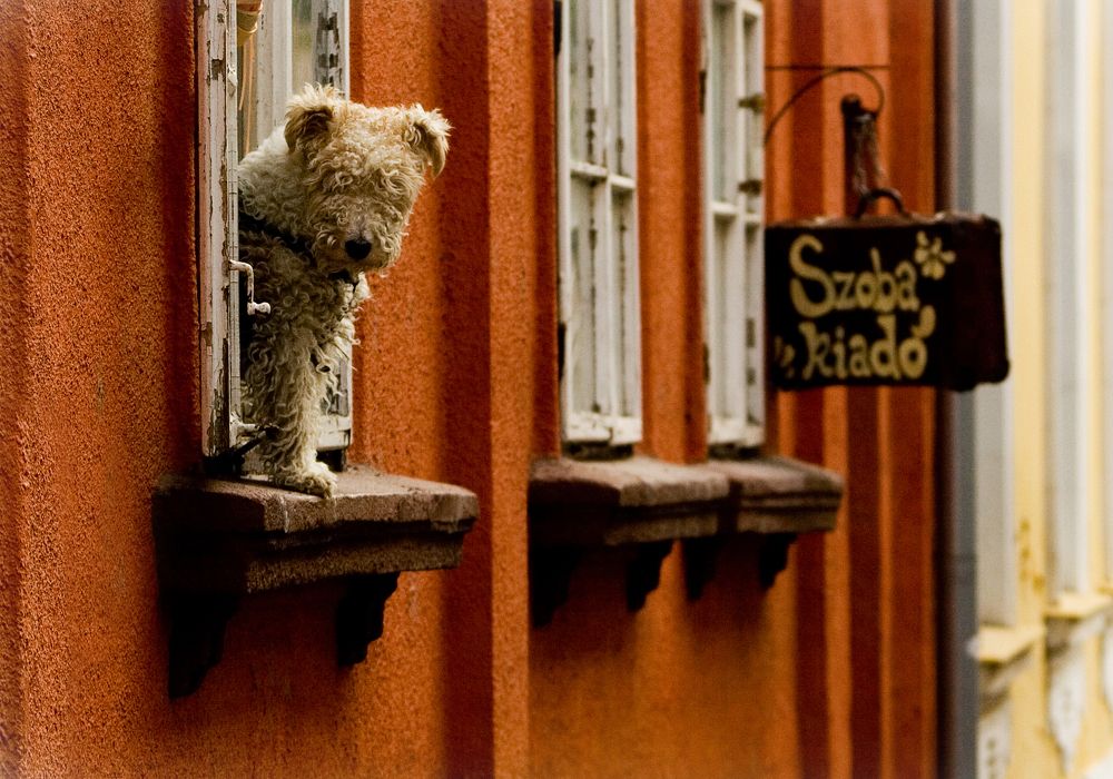 Photograph by Gabriella Szabo