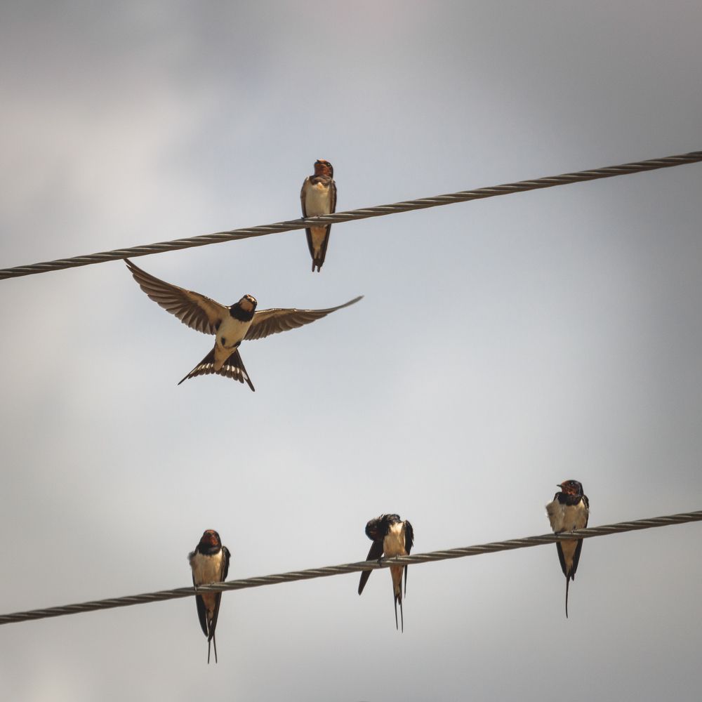 Фотография автора Сыч Римма