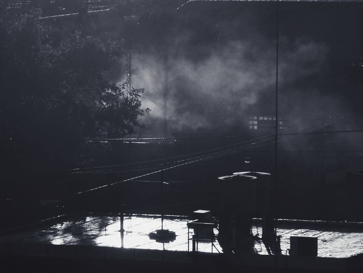 Photo #7212274