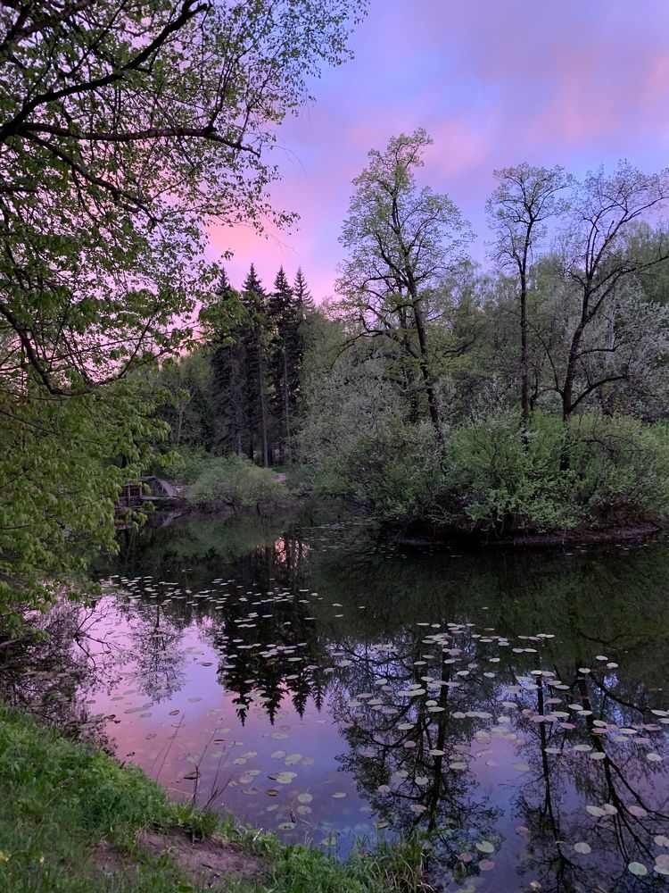 Photograph by Наталья