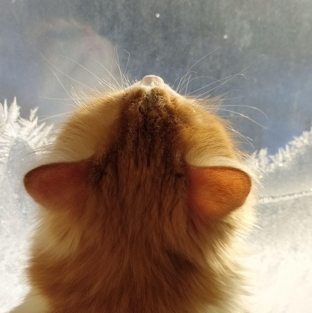 Photograph by Светлана Семенова