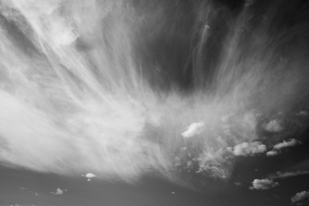 Photograph by Огаркова яна