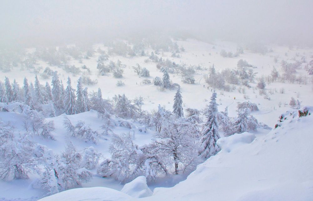 Photograph by Виктория Байкова
