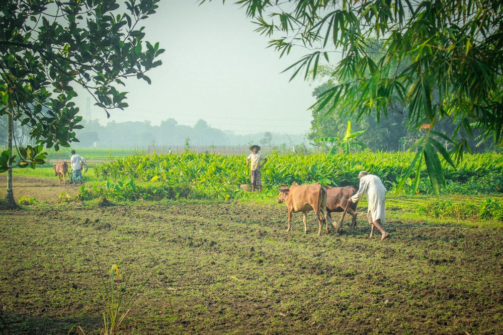 Photograph by Sameer Dash