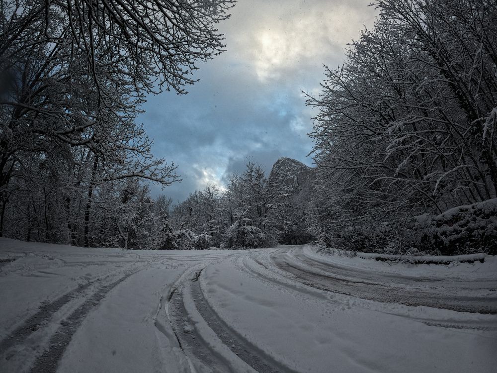 Photo #7212394