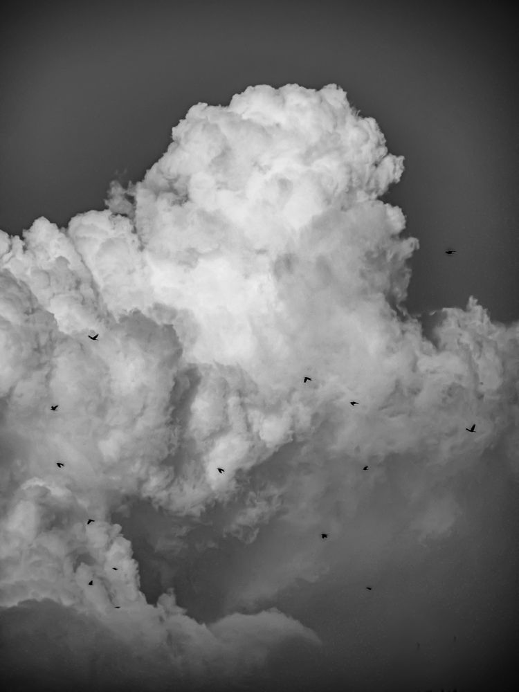 Photograph by صدرا