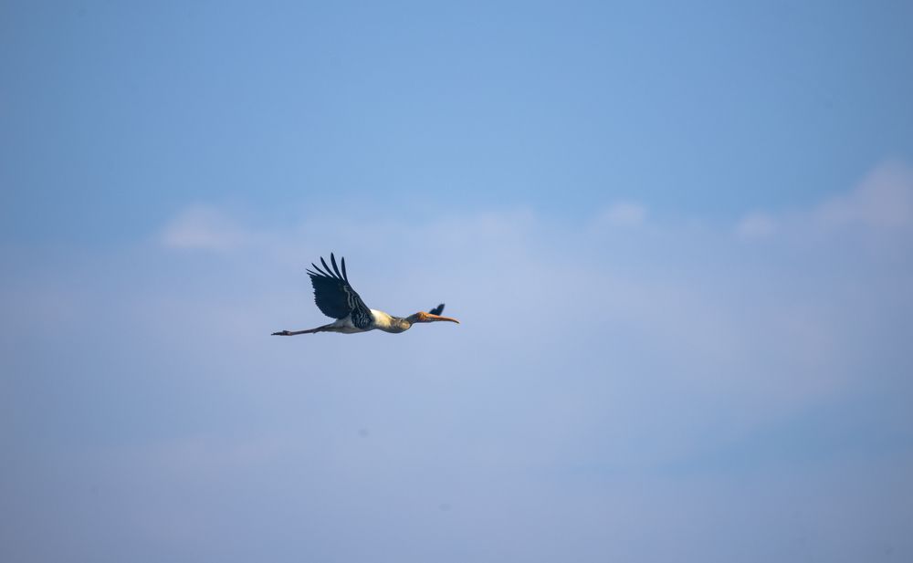 Photograph by Shivendra Singh