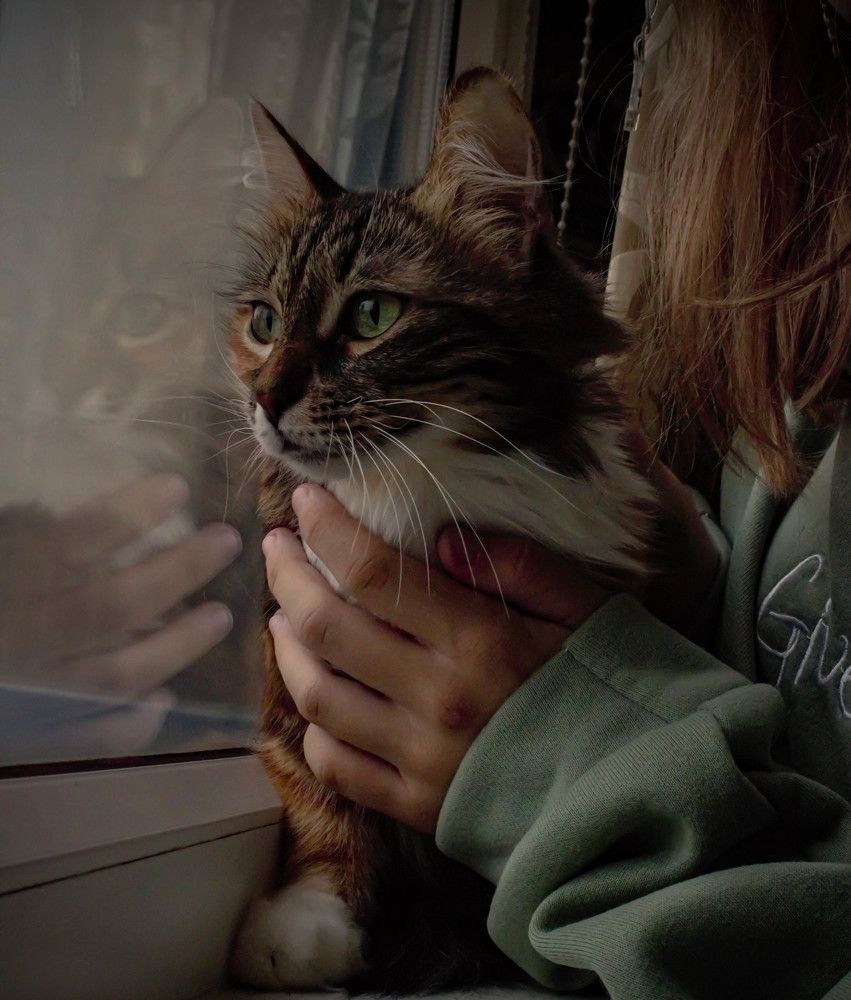 Photograph by Валентина Тагильцева