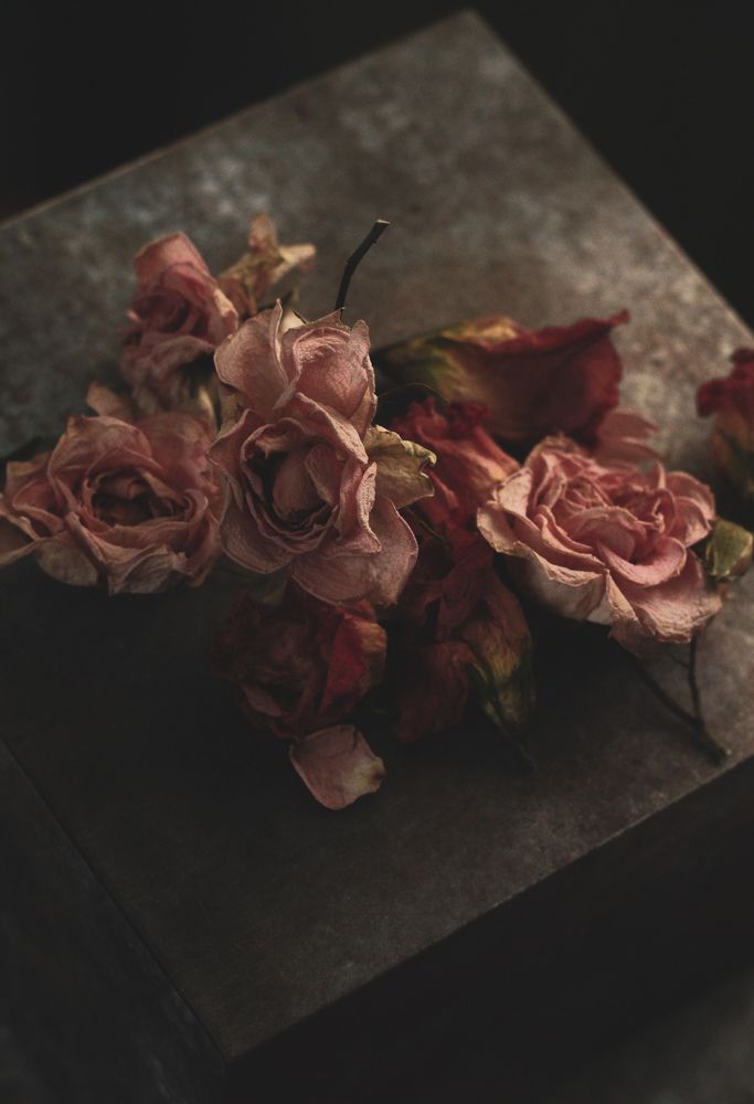 Фотография автора Наталія Савка