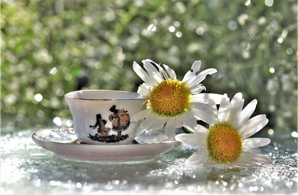 Photograph by наталья